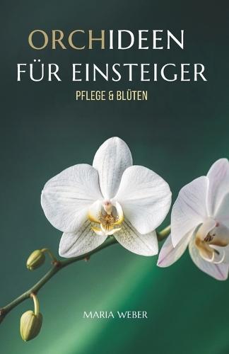 Orchideen Für Einsteiger: Pflege & Blüten