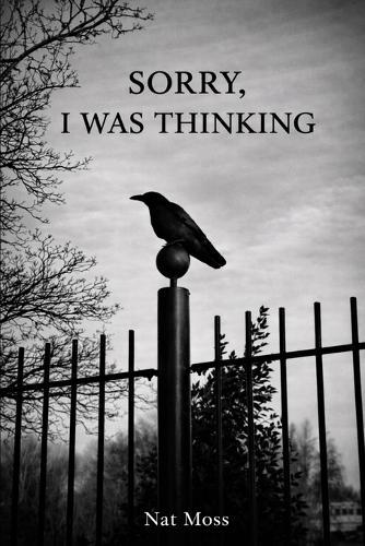 Sorry, I Was Thinking