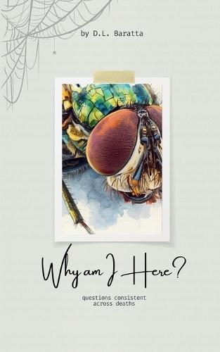 Why am I Here?: Questions Consistent Across Deaths