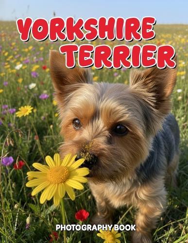 Yorkshire Terrier Photography Book: A Visual Tribute to the Elegant Yorkshire Terrier