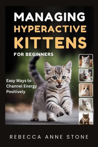 Managing Hyperactive Kittens for Beginners: Easy Ways to Channel Energy Positively