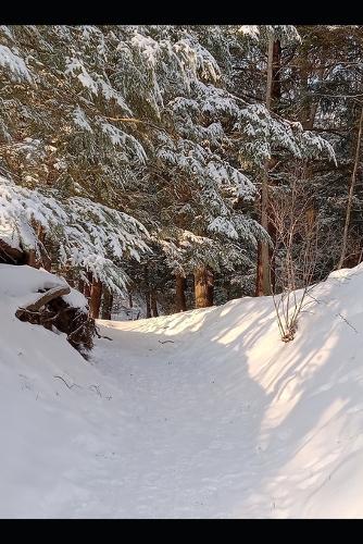 Living the Journey: How to Save the Future by Not Dwelling There