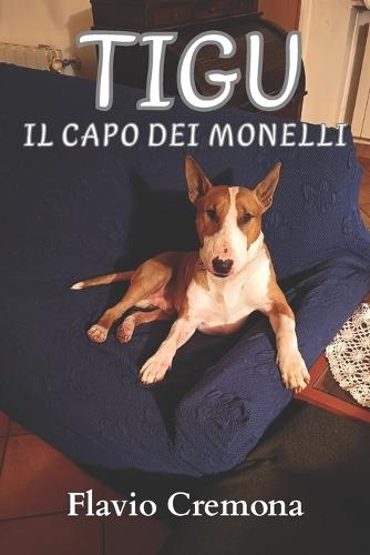 Tigu: Il Capo Dei Monelli