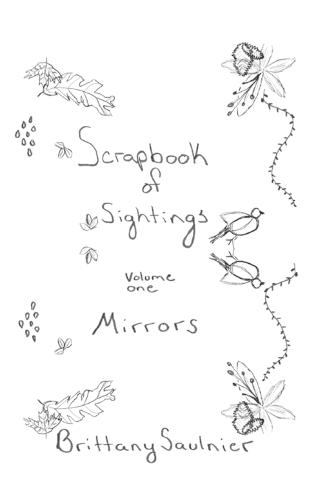 Scrapbook of Sightings: Volume One: Mirrors