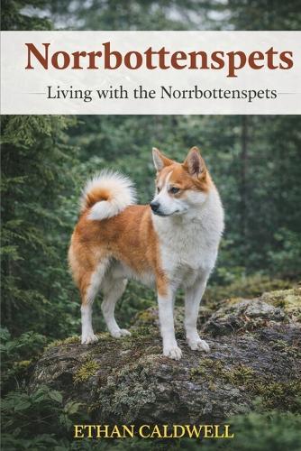 Norrbottenspets: living with the Norrbottenspets