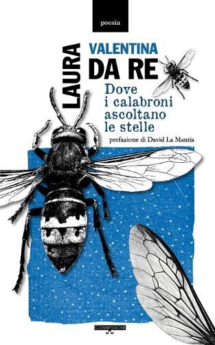 Dove i calabroni ascoltano le stelle
