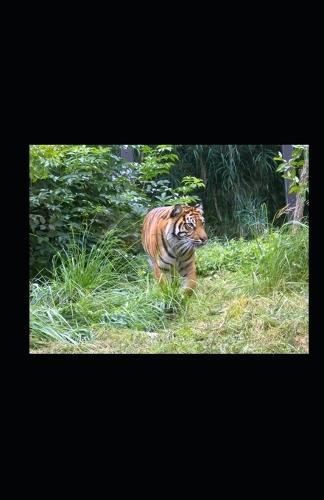 Tigers and Trains