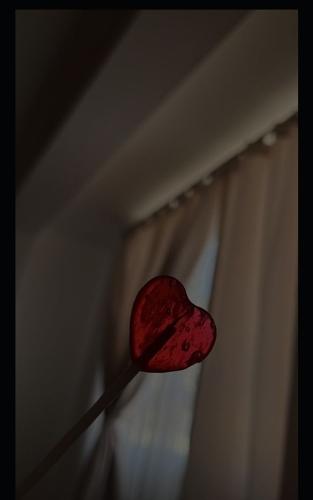 K3: Soft Hearts, Armed