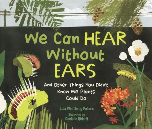 We Can Hear Without Ears: And Other Things You Didn't Know We Plants Could Do