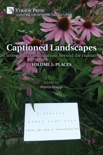 Captioned Landscapes: Intermedial Combinations Beyond the Human: Volume 1: Places
