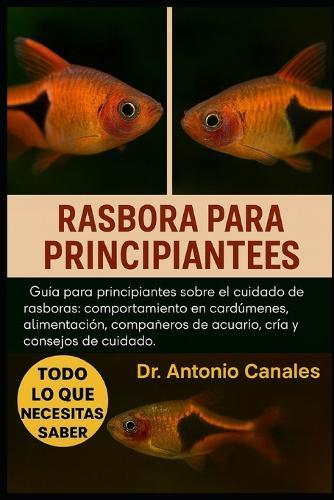Rasbora Para Principiantes: Guía para principiantes sobre el cuidado de rasboras: comportamiento en cardúmenes, alimentación, compañeros de acuario, cría y consejos de cuidado.