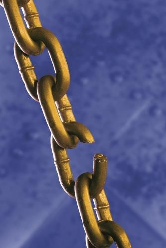 Trauma Un Bonding: Rising from the Ashes