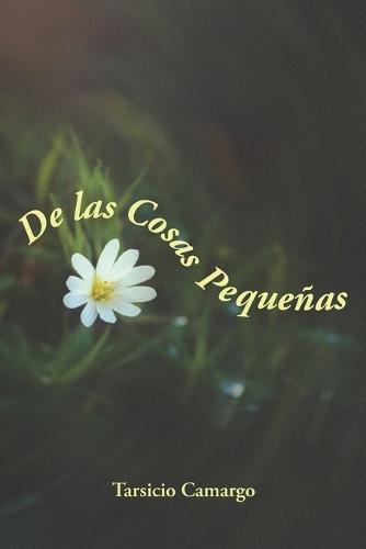 De las Cosas Pequeñas: Poesía Contemporánea, Haikús y Reflexión sobre la Vida, la Memoria y lo Cotidiano