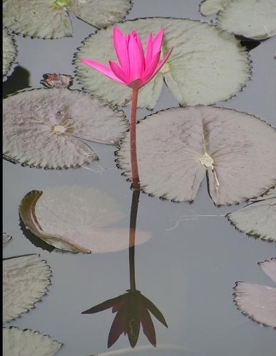 Self-Help Compilation