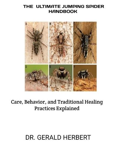 The Ultimate Jumping Spider Handbook: Care, Behavior, and Traditional Healing Practices Explained