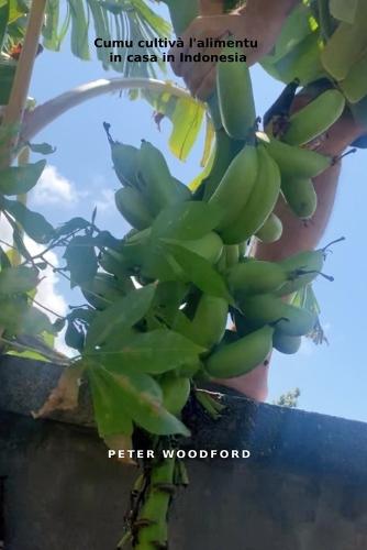 Cumu cultivà l'alimentu in casa in Indonesia