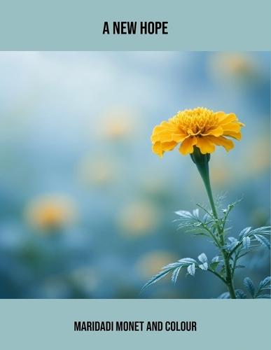 A New Hope: Maridadi Monet And Colour