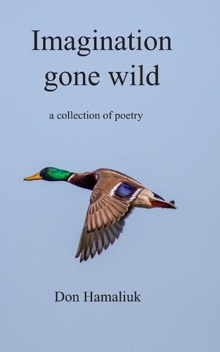 Imagination Gone Wild