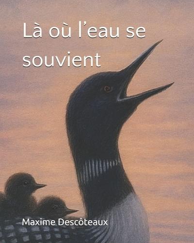 Là où l'eau se souvient