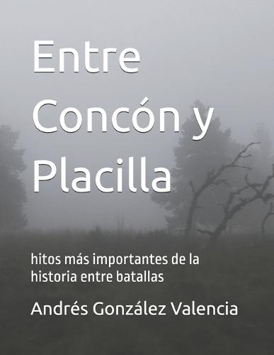 Entre Concón y Placilla: hitos más importantes de la historia entre batallas