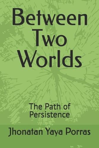 Between Two Worlds: The Path of Persistence