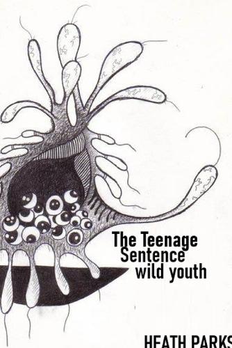 The Teenage Sentence: wild youth