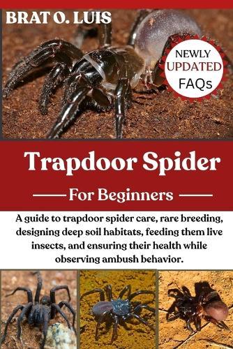 Trapdoor Spider: A guide to trapdoor spider care, rare breeding, designing deep soil habitats, feeding them live insects, and ensuring their health while observing ambush behavior.