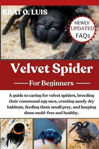 Velvet Spider: A guide to caring for velvet spiders, breeding their communal egg sacs, creating sandy dry habitats, feeding them small prey, and keeping them mold-free and healthy.