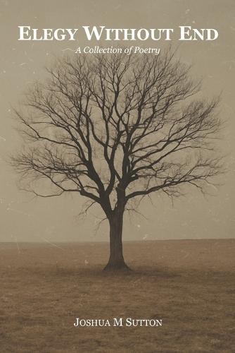 Elegy Without End: A Collection of Poetry