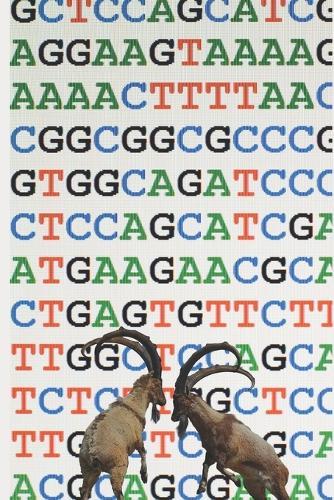 Análisis psicosocial de la violencia en Colombia desde una perspectiva nomotética