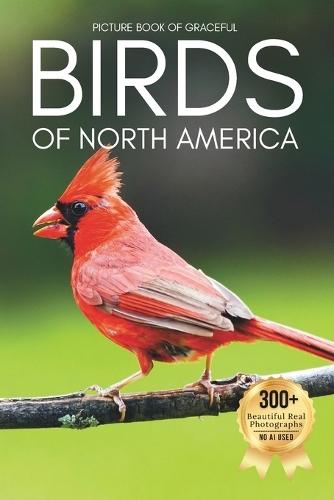 Picture Book of Graceful Birds of North America: A Calming Collection of Real Bird Photography for Seniors Living with Memory Loss, Alzheimer's, or Dementia