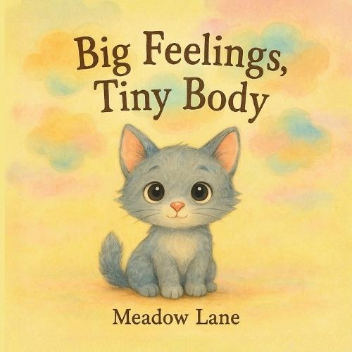 Big Feelings, Tiny Body: A gentle story about emotions for little hearts