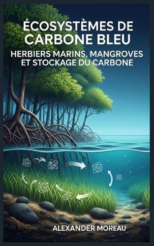 Écosystèmes de Carbone Bleu: Herbiers Marins, Mangroves et Stockage du Carbone