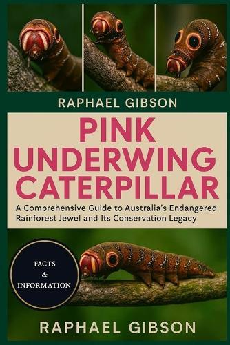 Pink Underwing Caterpillar: A Comprehensive Guide to Australia's Endangered Rainforest Jewel and Its Conservation Legacy