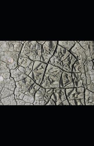 The Dividend Drought