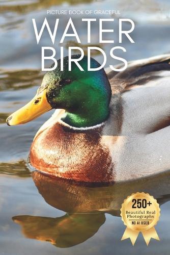 Picture Book of Graceful Water Birds: A Peaceful Collection of Real Bird Photography for Seniors Living with Memory Loss, Alzheimer's, or Dementia