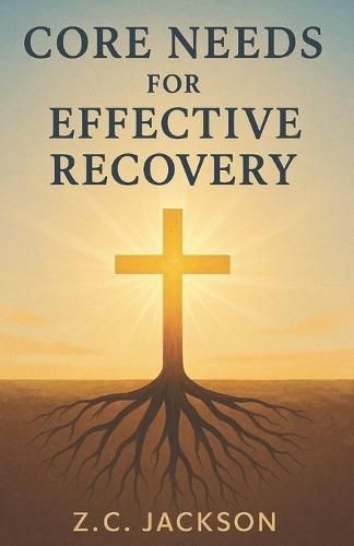 Core Needs for Effective Recovery