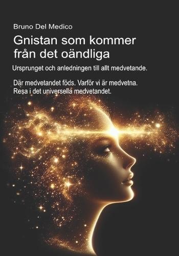 Gnistan som kommer från det oändliga. Ursprunget och anledningen till allt medvetande.: Där medvetandet föds. Varför vi är medvetna. Resa i det universella medvetandet.