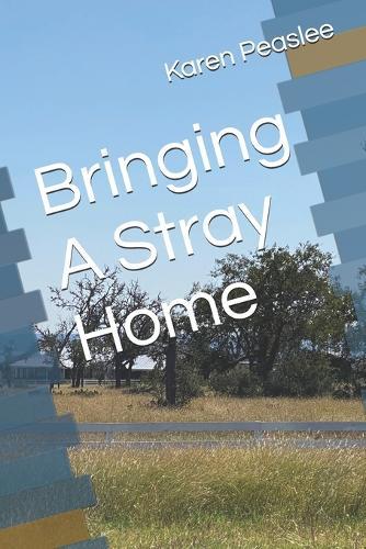 Bringing A Stray Home