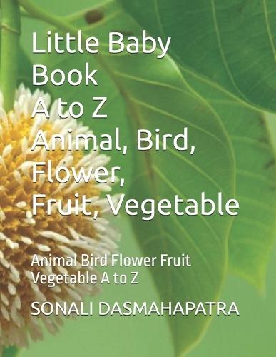 Little Baby Book_A to Z_Animal Bird Flower Fruit Vegetable: Animal Bird Flower Fruit Vegetable A to Z
