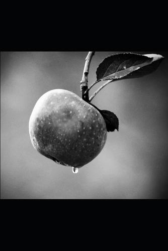 When We Fell Silent: A Story of Love, Loss, and Finding Home Again