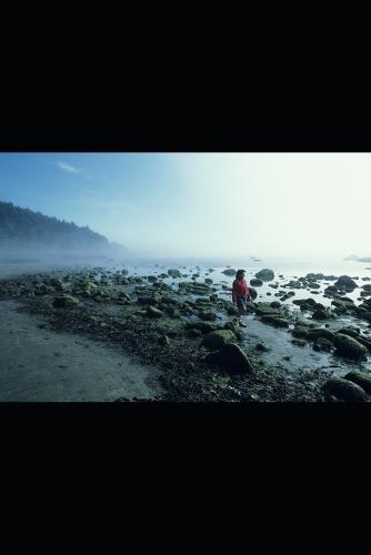 Geography Of The Netherlands