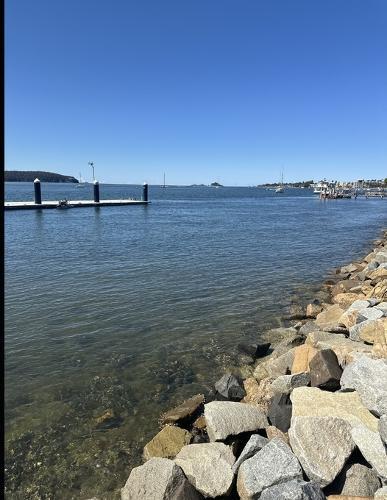 HOPE in Jesus That Will Not Disappoint.: How we all have a need for a real HOPE, and how it can come through Jesus Christ?