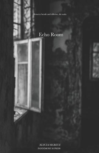 Echo Room