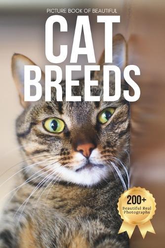 Picture Book of Beautiful Cat Breeds: Designed for Seniors Living with Memory Loss, Alzheimer's, Dementia, and Cat-Loving Families