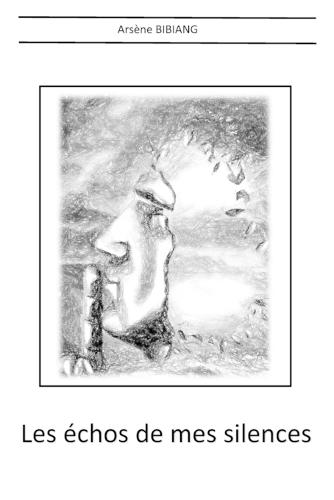 Les échos de mes silences