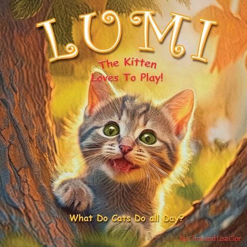 Lumi The Kitten Loves to Play: What do kittens do all Day?