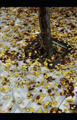 No Ground: A Surreal Plunge into the Unknown - Where Falling Never Ends