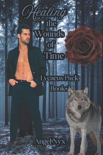 Healing the Woulds of Time: Lycaeus Pack Book 2