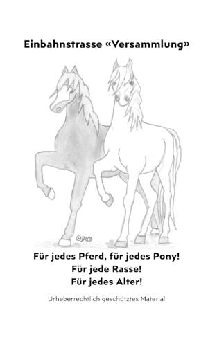 Einbahnstrasse Versammlung: Für jedes Pferd, für jedes Pony! Für jede Rasse! Für jedes Alter!